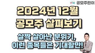 [공모주] 2024년 12월 공모주 살펴보기 - 살짝 살아난 분위기, 이런 종목들은 기대할만!