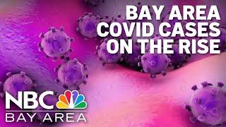 Bay Area COVID-19 cases, hospitalizations on the rise, data shows