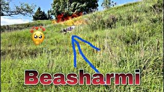 Beasharmi | Kashmiri Funny Videos | Fun Hubs