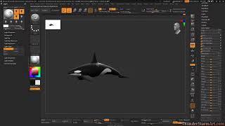 Sculpting an Orca in Zbrush 2021.6.6