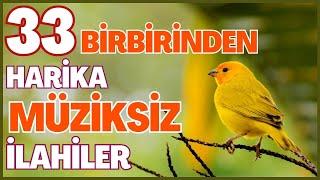 33 BİRBİRİNDEN HARİKA MÜZİKSİZ İLAHİLER