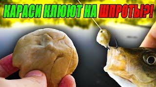 КАРАСИ КЛЮЮТ на ШПРОТЫ?! Рыбачу на ШПРОТНОЕ ТЕСТО по рецепту от ПОДПИСЧИКА!