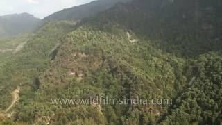 Stepped fields and thick Himalayan forest around Seku village, Uttarakhand