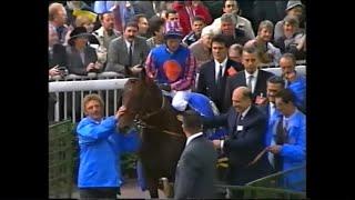 BBC Extended Coverage The 1999 Prix de L,Arc de Triomphe Racing Legends.