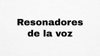 ¿Qué es un RESONADOR? ¿Cuáles son los resonadores de la voz?  | Diccionario del cantante