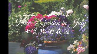 Hua’ s Garden in July 七月花园.德国北部七月种什么花07.07.2021