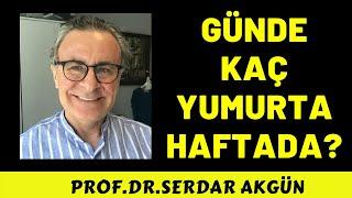 Günde kaç yumurta yemeli? Haftada kaç yumurta? Sağlık Beslenme, Doktor Serdar Akgün