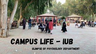 Glimpse of psychology department IUB - University Life - fabiha vlogs