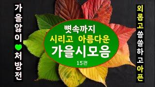 [시낭송모음]가을시모음ㅣ가을대표시15편(낭송:봉경미/음악:손방원팬플룻)