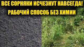 Любые СОРНЯКИ исчезнут навсегда без химии! Жалею что раньше не узнала