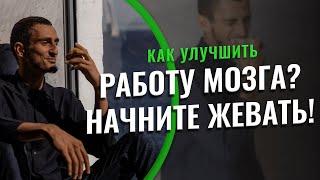 Как улучшить работу мозга? Начните жевать!