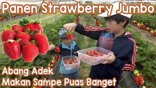 Strawberry Harvest & All You Can Eat for FREE | Korea-Indonesia Family Vlog | Family You #strawberry