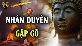 Mọi gặp gỡ đều do nhân duyên, hãy biết trân quý những người quanh mình.