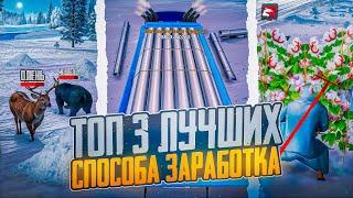 ТОП 3 ЛУЧШИХ СПОСОБА ЗАРАБОТКА на РОДИНА РП В GTA SA на 2024-2025 ГОД