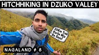 TREKKING HIGHEST PICK OF DZUKOU VALLEY OF NAGALAND | DZUKOU VALLEY NAGALAND | NAGALAND VLOG HINDI