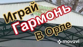 Играй гармонь в Орле