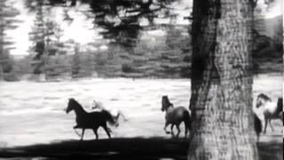 Fury (1955) Intro