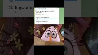 #опросы #телеграм