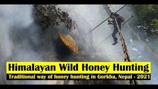 Himalayan Wild Honey Hunting || Mad Honey Hunting || Nepali Honey || Caravan Media || || Mad Honey