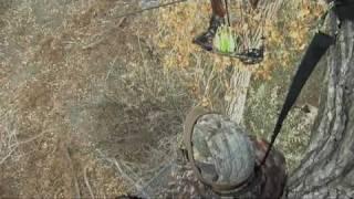 Best Of - Jeff Miller Kansas Bow Hunt