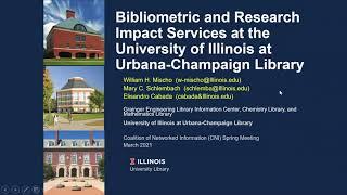 Bibliometric and Research Impact Services at the University of Illinois at Urbana-Champaign