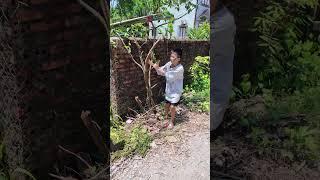 Chia sẻ đồ chơi với cậu bé đáng thương - Share toys with the poor boy #shorts