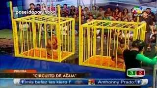 COMBATE: Competencia Circuito de Agua. Enfrentamiento por Equipos 02/04/13
