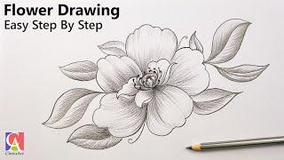 Flower Drawing Easy with Pencil Shading | How To Draw Flowers