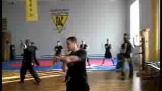 Toronto Wing Chun Demo