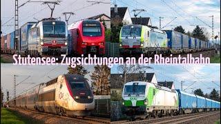 Zugsichtungen und Vorbeifahrten an der Rheintalbahn (KBS700) bei Blankenloch-Stutensee