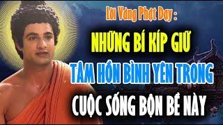 Lời Vàng Phật Dạy : Những Bí Kíp Bỏ Túi Giữ Tâm Hồn Bình Yên Trong Cuộc Sống Bộn Bề Này