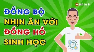 ️ Ăn Đúng Nhịp, Nhịn Đúng Cách: Hướng dẫn Đồng bộ IF Với Nhịp Sinh học