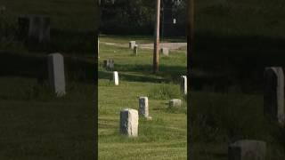 Headstones disappearing at controversial Washington Park Cemetery