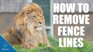 How to Remove Fence Lines: PHOTOSHOP TUTORIAL #49