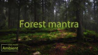 Slava Lucky - Forest mantra \ Ambient music