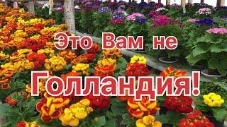 Как ВАМ такие БУКЕТЫ? От этих ЦВЕТОВ дух захватывает!