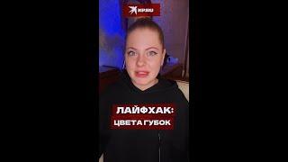 Лайфхак: как понять по цвету, для чего предназначена губка #лайфхак #губки