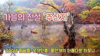 주산지 | 가을여행 버킷리스트 | 반영 | 물안개 | 촬영지소개 꿀팁 | 반영 | landscape photography |4k|