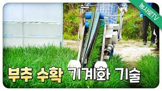 [농업기술동영상] 부추 수확 기계화 기술