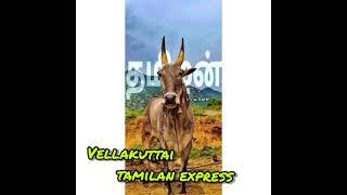 Vellakuttai tamilan express