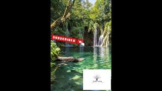 Nature world-عالم الطبيعة              The world of nature             le monde de la nature