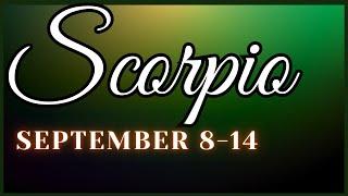 May magandang saiyo ang universe..️SCORPIOSeptember 8-14, 2024