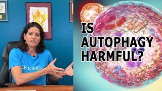 What Are You Actually Detoxing with Autophagy?