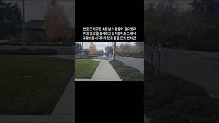 미국백수 자기소개 그리고 앞으로의 방향성 그리고 소통