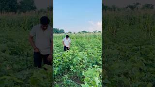 Farmer by profession  #minivlog #JG_Square #g_square #vlog