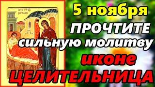 5 ноября СИЛЬНАЯ МОЛИТВА Иконе Божией Матери Целительница в праздник Иконы об ИСЦЕЛЕНИИ от БОЛЕЗНИ