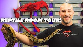 Exclusive Behind-the-Scenes Tour: Full Snake Room Walkthrough!