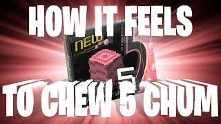 How it Feels to Chew 5 Chum | Hypixel Skyblock