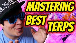 How To Master BEST Terps