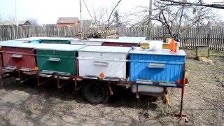 весеняя уборка и дезинфекцыя ульев